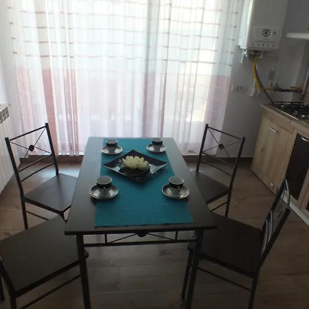 Apartament Ianis *